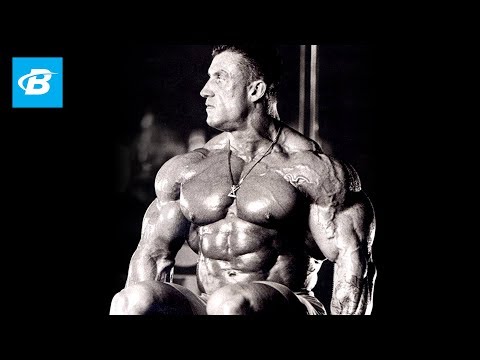 10 Essential Bodybuilding Tips | Dorian Yates' Blood & Guts - UC97k3hlbE-1rVN8y56zyEEA