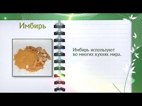 Кулинарная энциклопедия - Имбирь - UC7XBjhXnmmXFsxmnys9PmDQ