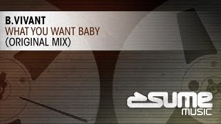 B. Vivant - What You Want (Original Mix)