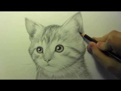 Karakalem Kedi çizimi