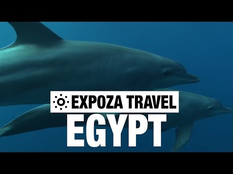 El Quseir el Quadim (Egypt) Vacation Travel Video Guide - UC3o_gaqvLoPSRVMc2GmkDrg