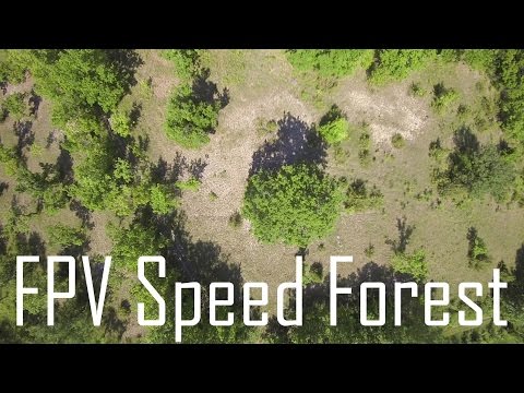 FPV 250 - Speed Surf - Spring Forest - UCs8tBeVbqcKhS-GAX_HtPUA