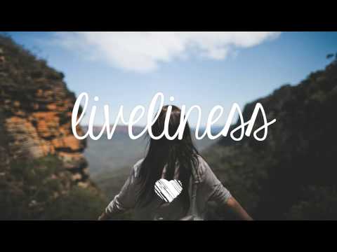 Odesza - White Lies (Sionlion Remix) - UC-vU47Y0MfBiqqzRI3-dCeg