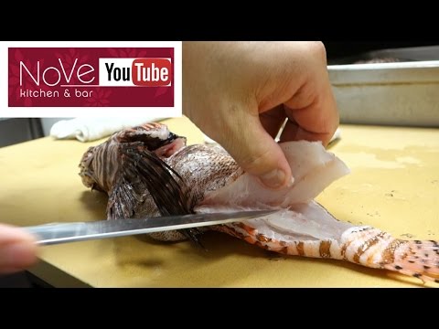 VENOMOUS Lionfish Sashimi - How To Make Sushi Series - UCbULqc7U1mCHiVSCIkwEpxw