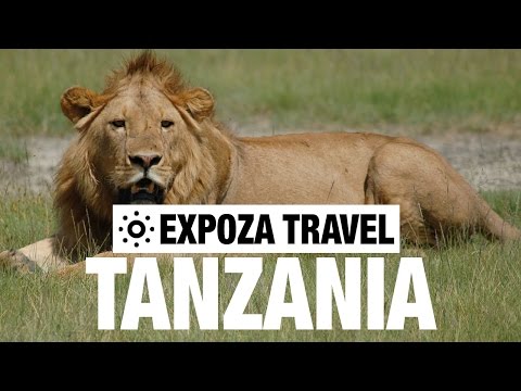 Serengeti & Ngorongoro Vacation Travel Video Guide - UC3o_gaqvLoPSRVMc2GmkDrg