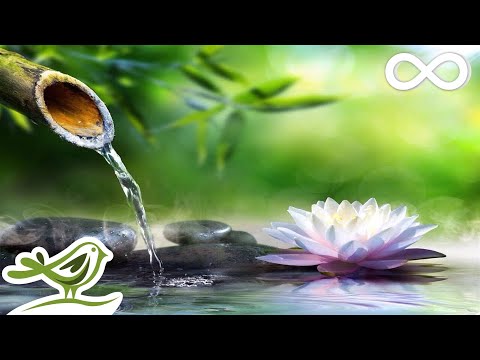 8 Hours of Relaxing Sleep Music: Sleeping Music, Relaxing Music, Fall Asleep Fast ★47 - UCjzHeG1KWoonmf9d5KBvSiw