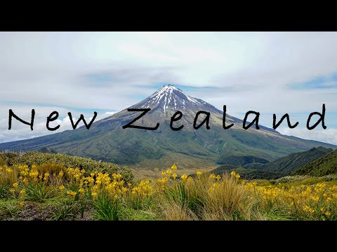 New Zealand 2019