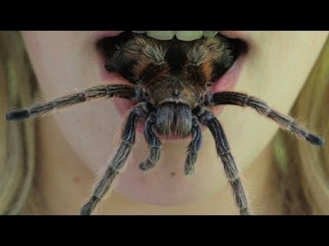 Top 10 Common Phobias - UCaWd5_7JhbQBe4dknZhsHJg