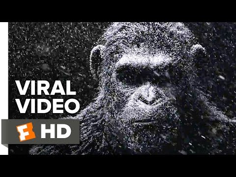 War for the Planet of the Apes Official Viral Video (2017) - Andy Serkis Movie - UCi8e0iOVk1fEOogdfu4YgfA