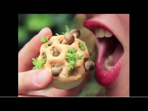 3D Printed Food: The Future of Healthy Eating | Chloe Rutzerveld | TEDxYYC - UCsT0YIqwnpJCM-mx7-gSA4Q