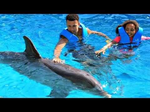 Kids Dolphin Ride - Swimming With Dolphins  In Mexico - UC6sSkkemzPjmrzS0Y0V_2zw