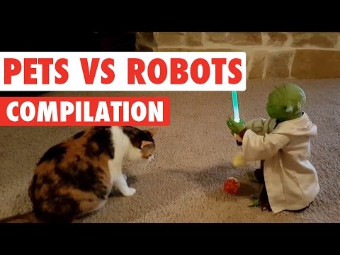 Pets Vs Robots Video Compilation 2016 - UCPIvT-zcQl2H0vabdXJGcpg