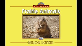 Prairie Animals 