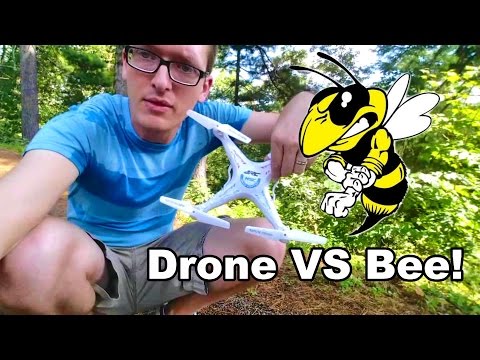 A Bee Attacked My RC Drone at the Lake & New Friends - TheRcSaylors - UCYWhRC3xtD_acDIZdr53huA