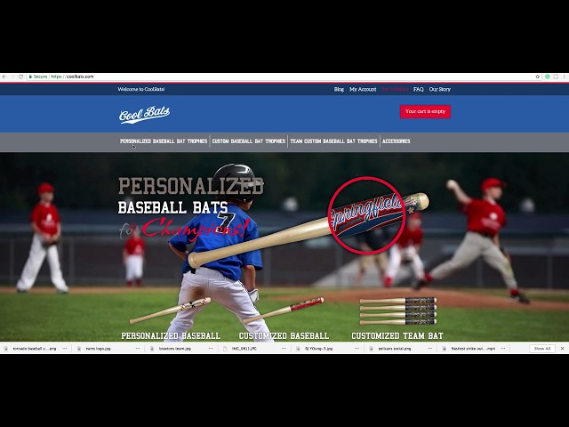 Where Can I Demo Baseball Bats Near Me?