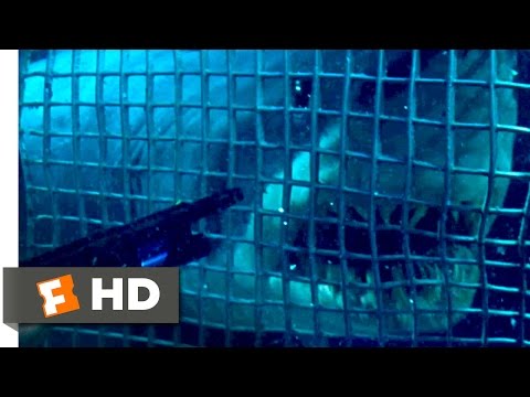 Deep Blue Sea - Smart Sharks Scene (2/10) | Movieclips - UC3gNmTGu-TTbFPpfSs5kNkg