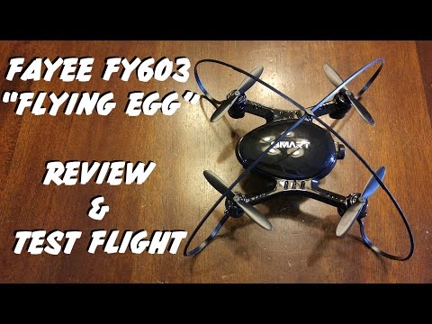 Fayee FY603 "Flying Egg" Quadcopter Review & Test Flight - UC-fU_-yuEwnVY7F-mVAfO6w