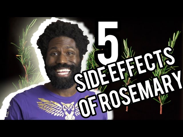 Is Rosemary Edible?