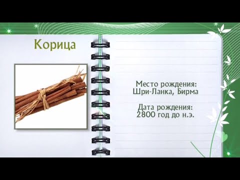 Кулинарная энциклопедия - Корица.Часть 1 - UC7XBjhXnmmXFsxmnys9PmDQ