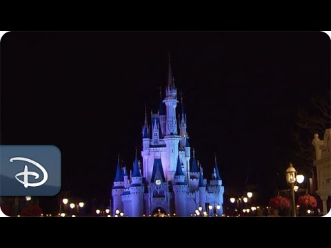 Disney After Hours Returns to Magic Kingdom Park - UC1xwwLwm6WSMbUn_Tp597hQ