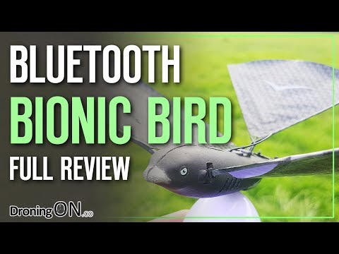 XTIM Bionic Bird Review - Unboxing, Setup & Flight Test - UCYoEOmvbMm0LX6AsIwANvug