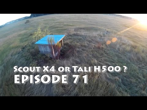 Walkera Scout X4 vs Tali H500 in Action! - UCq1QLidnlnY4qR1vIjwQjBw
