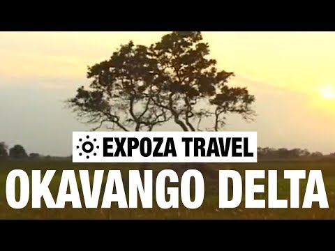 Okavango Delta (Africa) Vacation Travel Video Guide - UC3o_gaqvLoPSRVMc2GmkDrg