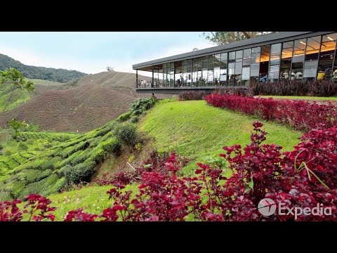 Cameron Highlands - City Video Guide - UCGaOvAFinZ7BCN_FDmw74fQ