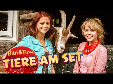 Bibi & Tina - Tiere am Set VOLL VERHEXT! Kinofilm DVD SPECIAL