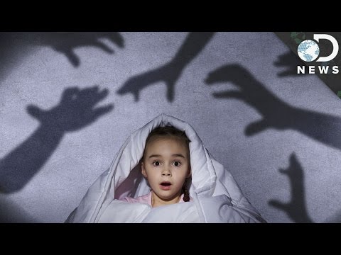 Why Do We Get Nightmares? - UCzWQYUVCpZqtN93H8RR44Qw