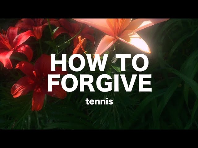How to Forgive Tennis Lyrics