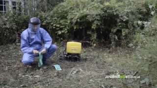 Herbicide Treatment of Japanese knotweed