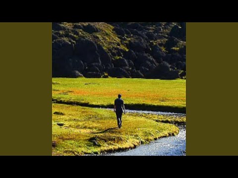 Utopia XX