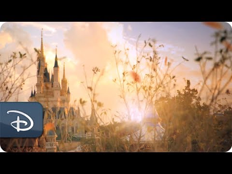 Experience Fall at Walt Disney World Resort - UC1xwwLwm6WSMbUn_Tp597hQ