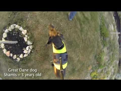 GoPro - 3rd Dog View mount testing - UCTs-d2DgyuJVRICivxe2Ktg