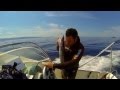 Chasse Sous-Marine Corse barracuda 3,5kg