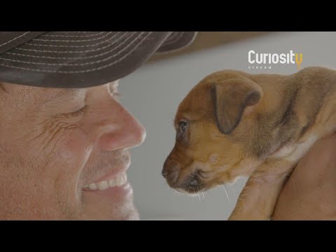 Cinematographer Uses Drones To Rescue Animals Around The World | Douglas Thron | Doug To The Resc… - UCtbkymRCxreyNHb_ON2FCsQ