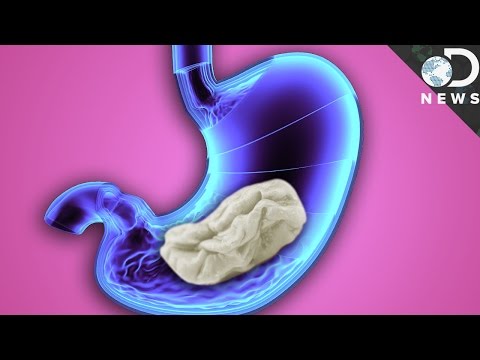 What Really Happens When You Swallow Gum? - UCzWQYUVCpZqtN93H8RR44Qw