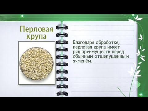 Кулинарная энциклопедия - Перловая крупа - UC7XBjhXnmmXFsxmnys9PmDQ