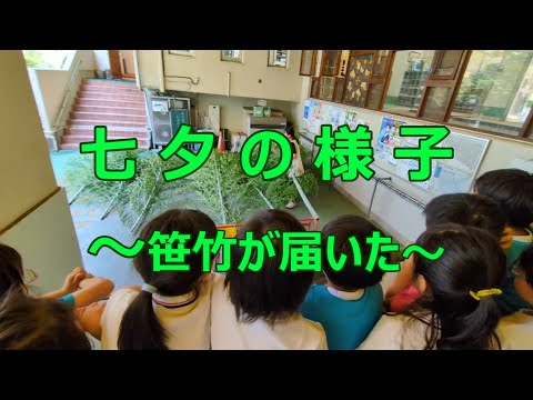 七夕～笹竹が届いた～