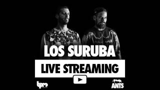Los Suruba - ANTS @ Blue Parrot - The BPM Festival 2015 (Live Streaming)