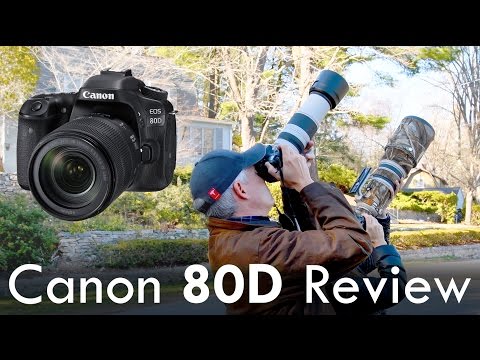 Canon 80D Review (vs 70D, 7D Mk II, Nikon D5500, Sony a6300) - UCDkJEEIifDzR_2K2p9tnwYQ