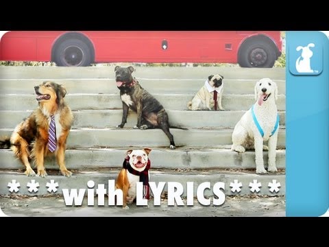 Pup Direction - One Bark ***with LYRICS*** - UCPIvT-zcQl2H0vabdXJGcpg