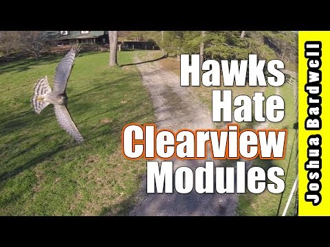 Clearview Fatshark Module | FREESTYLE FIRST-LOOK - UCX3eufnI7A2I7IkKHZn8KSQ