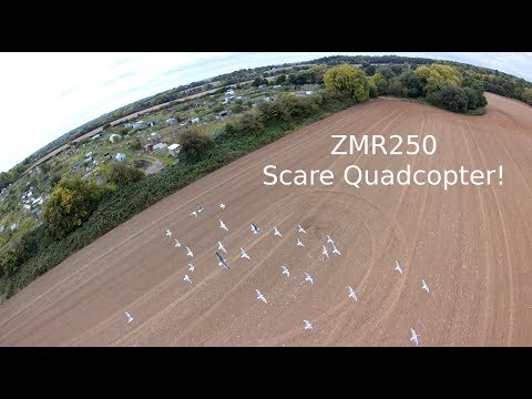 ZMR250 Quadcopter as an Artificial Bird of Prey - UC_rrSQtWl4d5iW50kg3ilXA