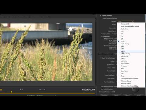 How To Pick The Best Render Settings For Your Camera - UCMKbYv-MCXxZlzEPlukCmNg