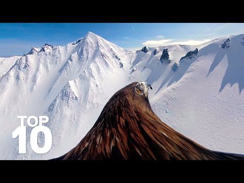 GoPro: Top 10 Moments of Winter - UCqhnX4jA0A5paNd1v-zEysw