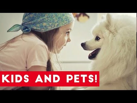 The Funniest Pets Meet The Cutest Kids & Babies of 2017 Weekly Compilation | Funny Pet Videos - UCYK1TyKyMxyDQU8c6zF8ltg