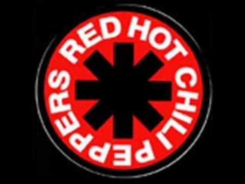 Red Hot Chili Peppers - Special Secret Song Inside (Party On Your Pus..