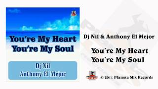 Dj Nil & Anthony El Mejor - You're My Heart, You're My Soul (Radio Edit)